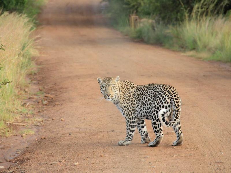 触觉反馈<br>qyo4ufag.cn 羊绒围巾触感